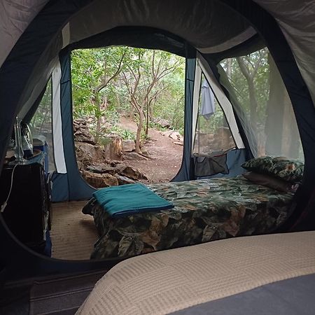 Adorable Unique Guest House - African Bush Feel Kalkheuvel Extérieur photo