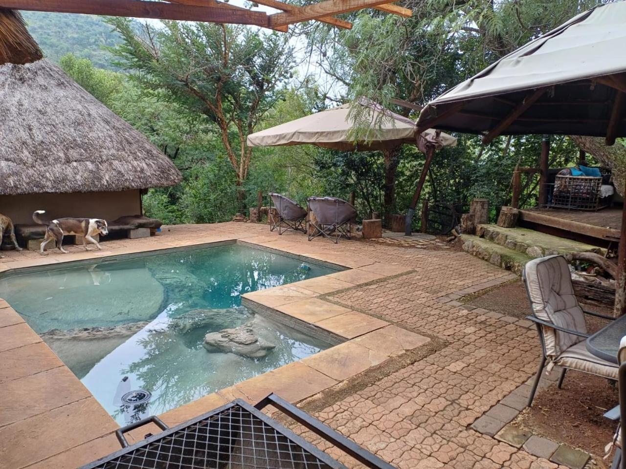 Adorable Unique Guest House - African Bush Feel Kalkheuvel Extérieur photo